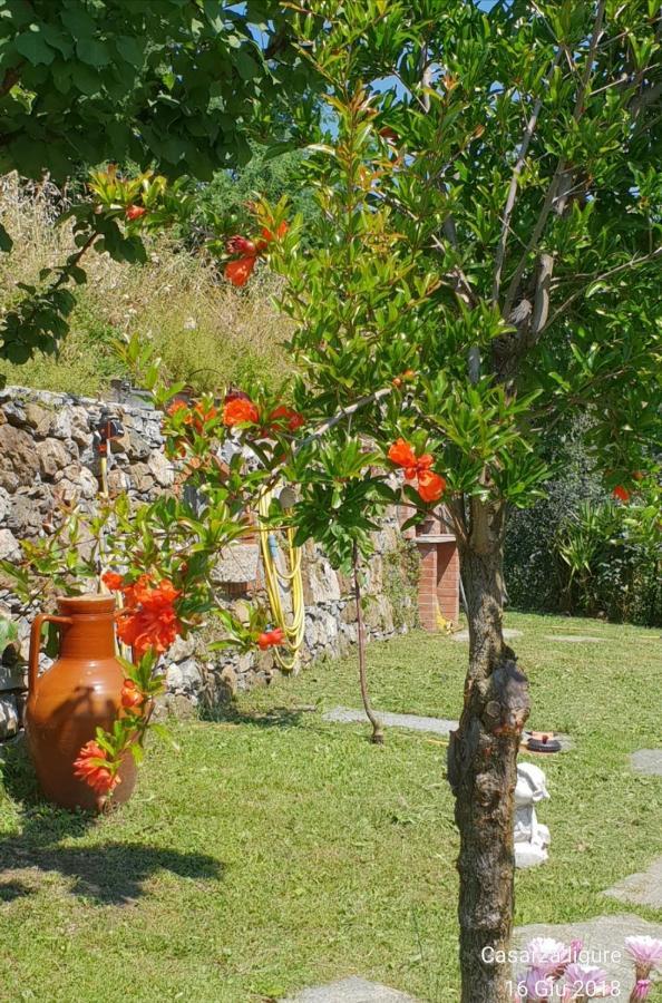 Ca' Olivella Villa Casarza Ligure Exterior foto